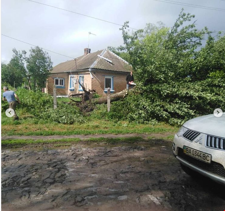 Damaged Roofs and Uprooted Trees in Kosovo