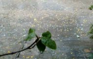Downpours Will Cover Part of Ukraine for Today