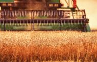 Farmers in the South of Ukraine Have Started Harvesting Early Grain