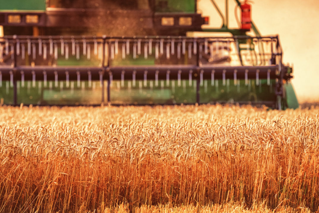 Farmers in the South of Ukraine Have Started Harvesting Early Grain