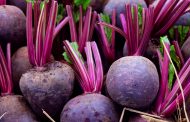 Golden Rules for Growing Sweet Red Beets