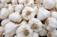 How to Care for Garlic