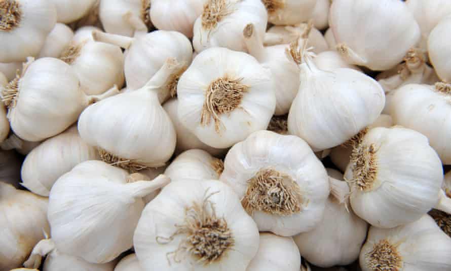 How to Care for Garlic