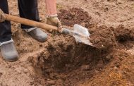 How to Improve Clay Soil