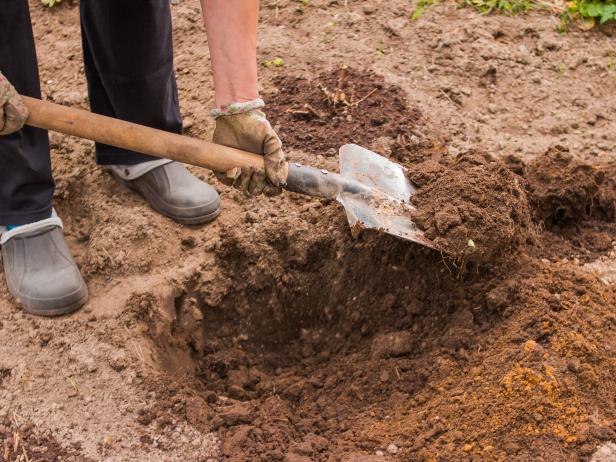 How to Improve Clay Soil