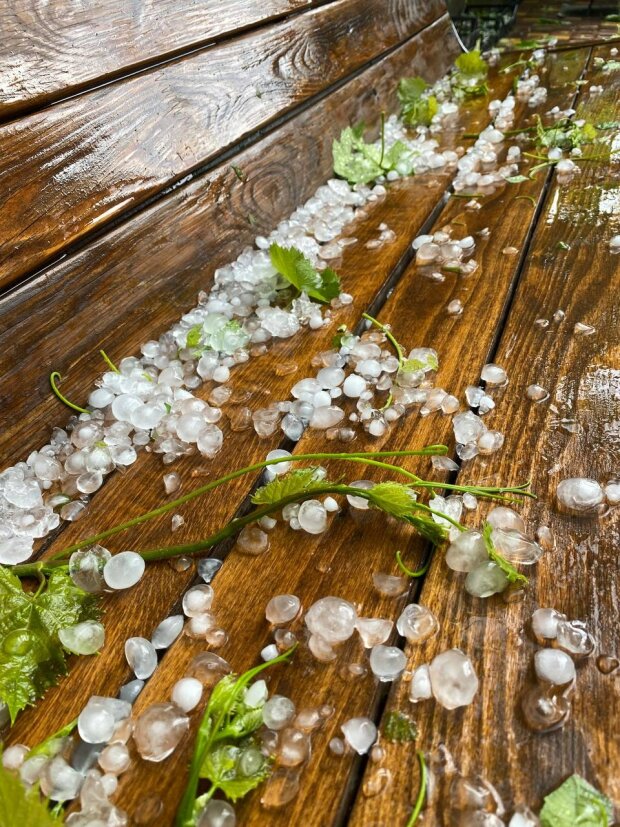 In the Middle of Summer, There Was a Powerful Hail Near Kharkov