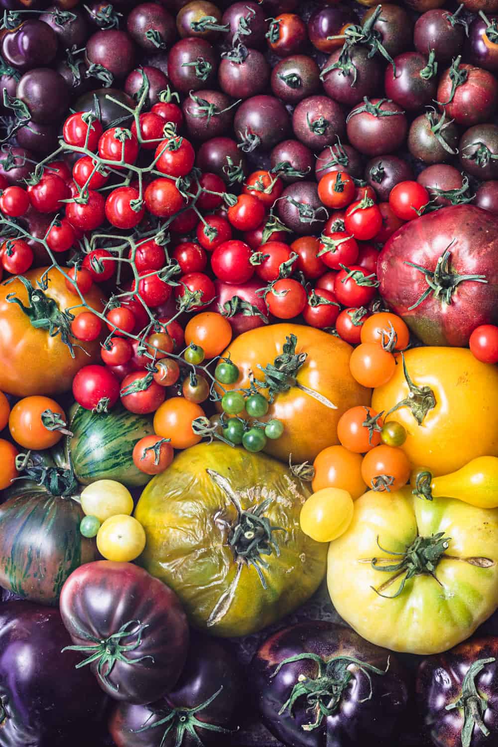Medicinal Tomatoes Are Grown in Cherkasy Region