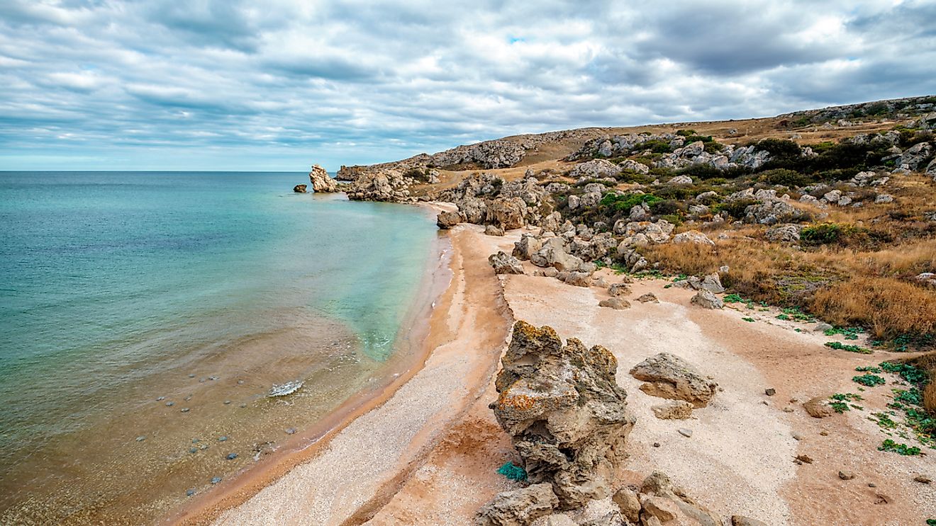 Sea Fleas Attack Tourists on the Sea of Azov