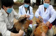 The First Case of Human Bird Flu H10N3 in China