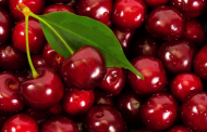 The Loss of Cherries Reaches 80% in Ukraine