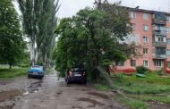 Uprooted Trees Fall on Cars in Zaporizhzhia