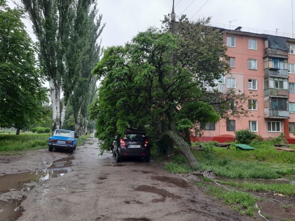 Uprooted Trees Fall on Cars in Zaporizhzhia