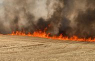 A Farmer Has Already Burned the Fourth Field With the Harvest in Kherson