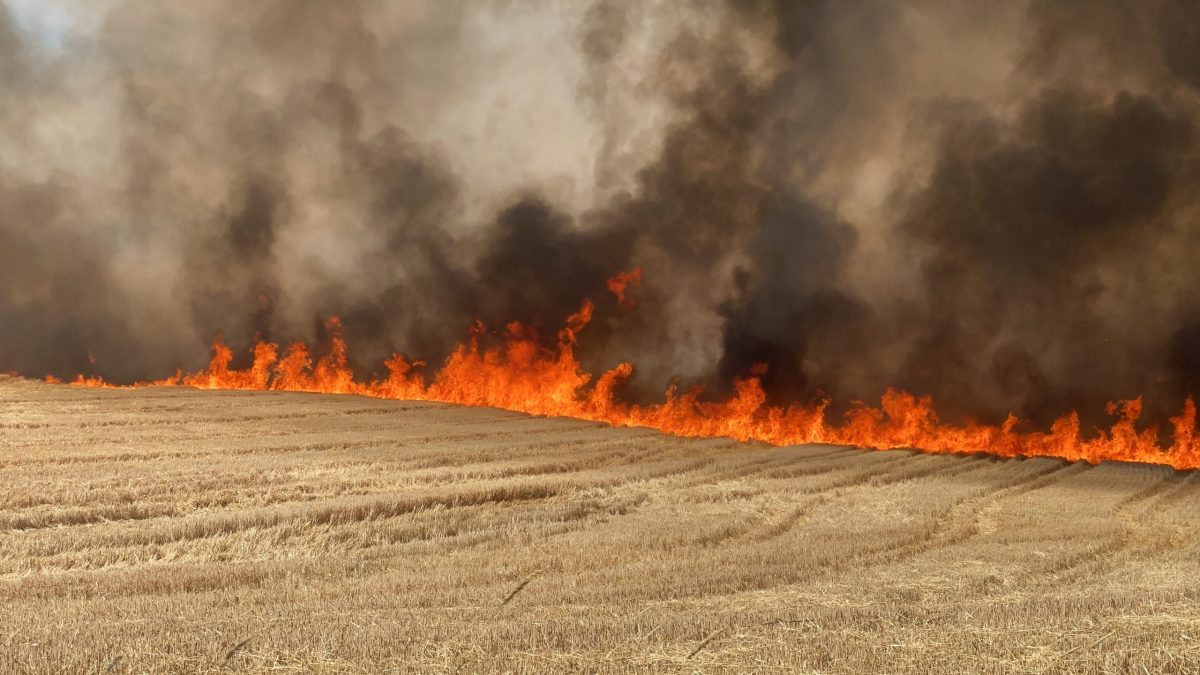 A Farmer Has Already Burned the Fourth Field With the Harvest in Kherson