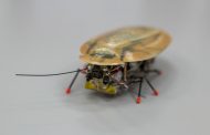 Engineers Create a Fast and Smart Robotic Cockroach