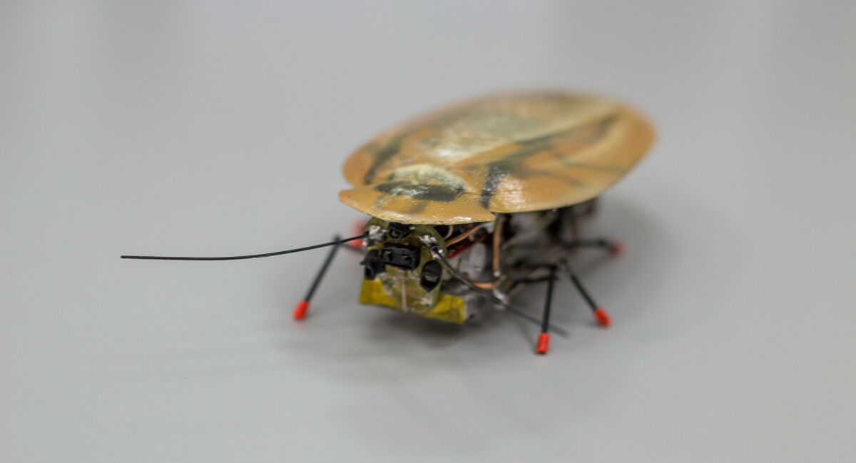Engineers Create a Fast and Smart Robotic Cockroach