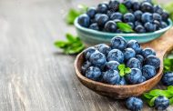 Farmers Are Developing Berry Growing in Zhytomyr