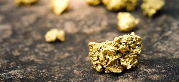 Illegal Gold Mining Is Carried out in the Zaporozhye Region