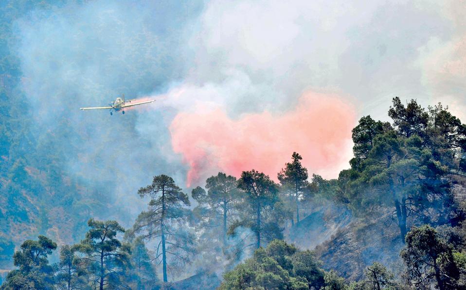 Large-Scale Forest Fire in Cyprus and the EU Gives a Hand