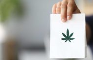 Launching a State Trade in Medical Cannabis in Pharmacies in Germany