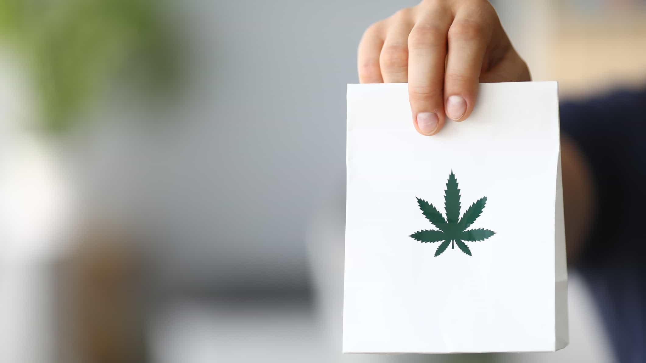 Launching a State Trade in Medical Cannabis in Pharmacies in Germany