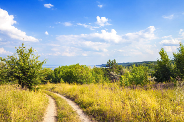 The Heat Will Break Into Ukraine up to + 31 ° for Today
