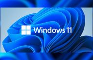 The Number of Windows 11 Users