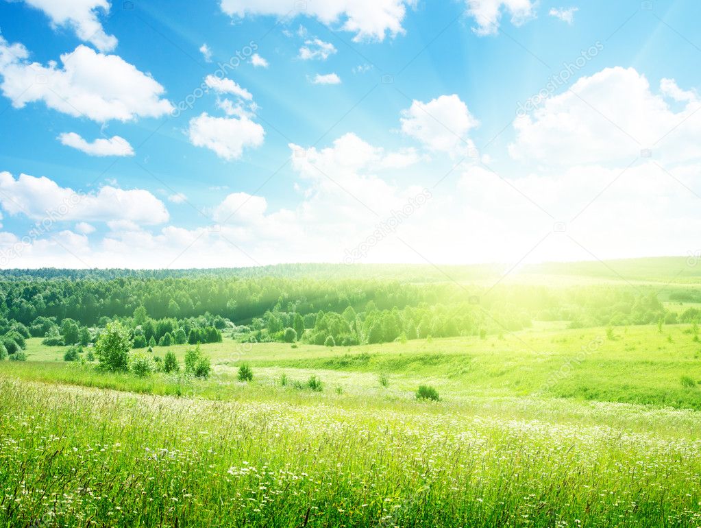 On August 11 Ukraine Will Heat up to + 35 °