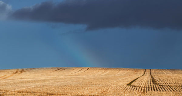 Two-Thirds of the Territory of Ukraine Will Become a Zone of Risky Agriculture