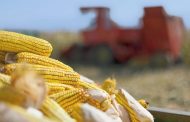 Ukraine Has Doubled Its Corn Exports