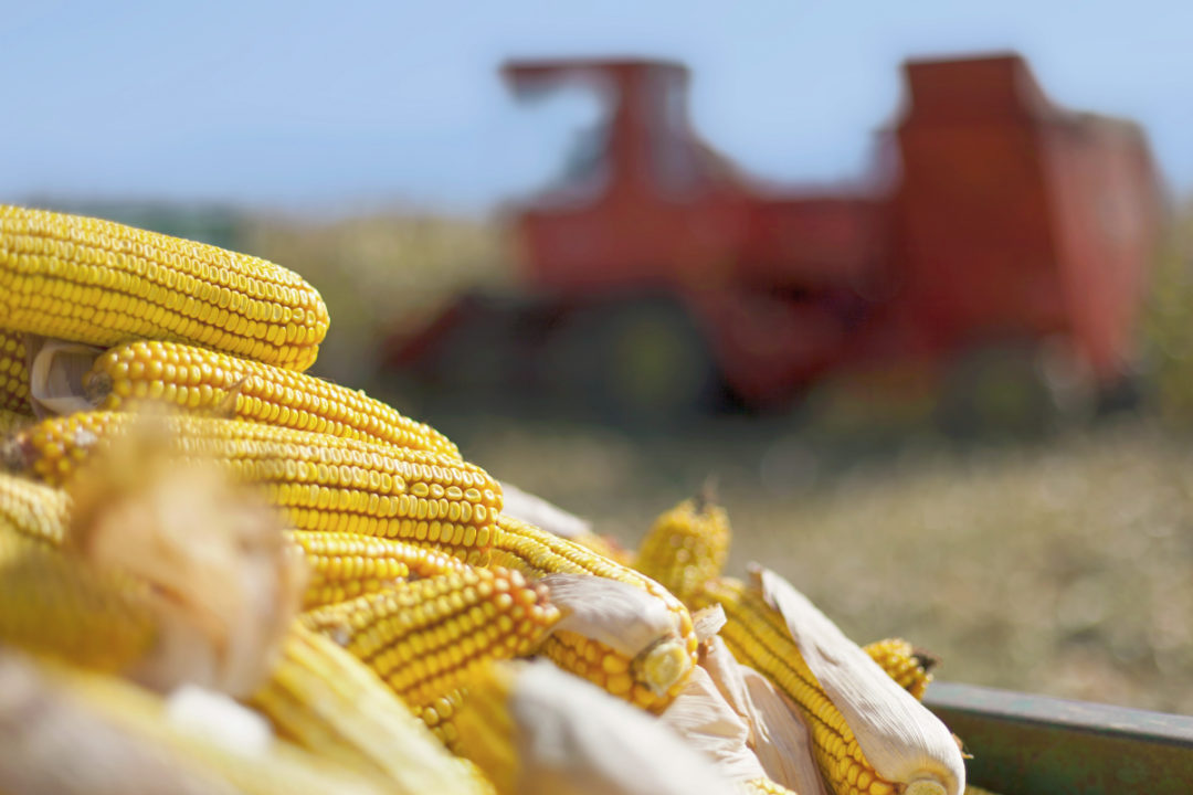 Ukraine Has Doubled Its Corn Exports