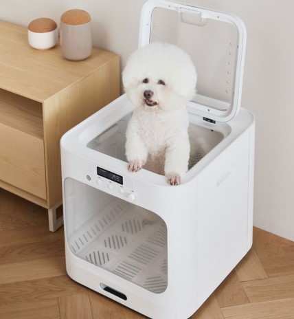 Xiaomi Has Introduced a Useful Novelty for Pet Owners
