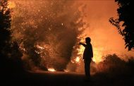 98 out of 107 Forest Fires Are Located in Turkey