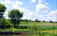 A Farmer Arbitrarily Occupied 100 Hectares of Land in Kirovohrad