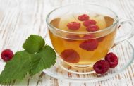 Benefits and Harms of Raspberry Leaf Tea