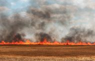 In the Cherkasy Region, a Farmer Suffered Losses of UAH 1 Million