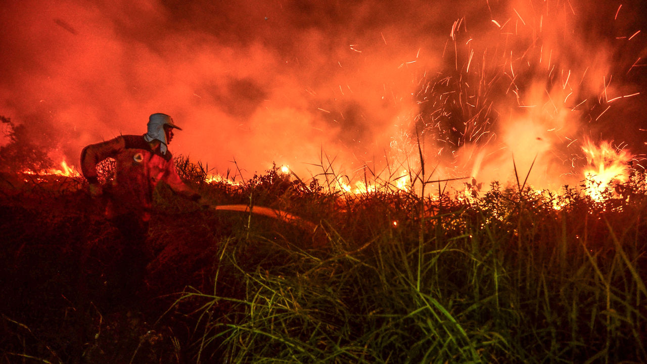 In the Kharkiv Region, a Man for Fun Sets Fire to Everything