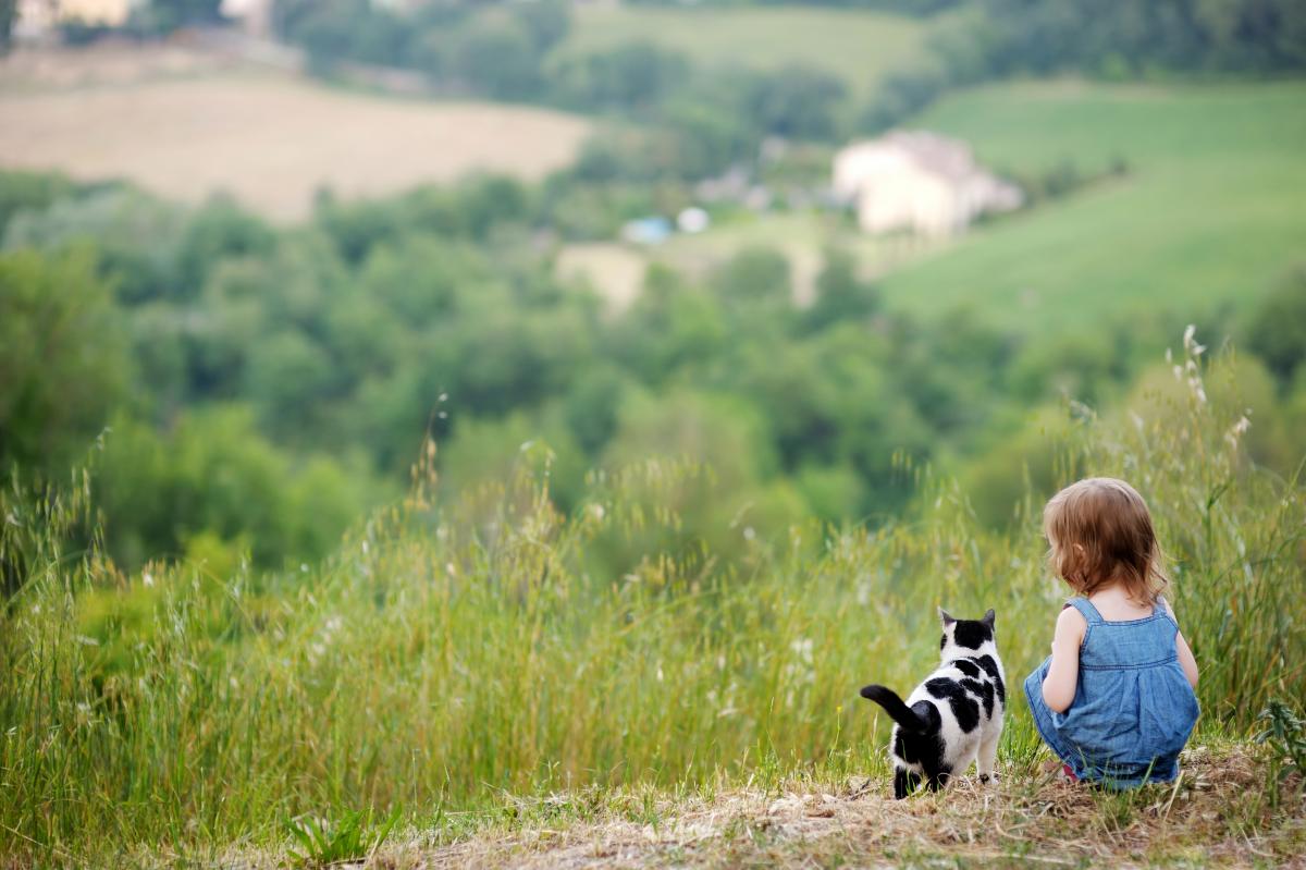 Summer Coolness Almost Without Rain, Today's Weather Forecast in Ukraine