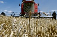 Ukraine Can Move Competitors in the Grain Market