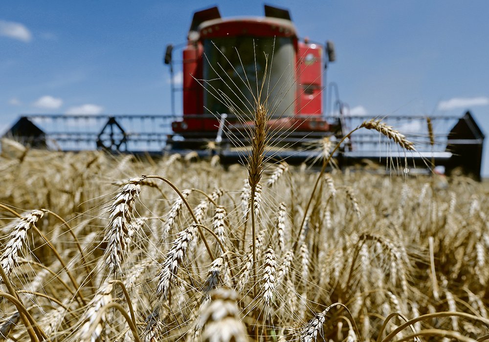 Ukraine Can Move Competitors in the Grain Market