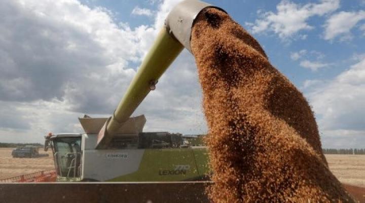 Ukraine Exported More Than 6 Million Tons of Grain