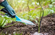 How to Choose the Right Fertilizer