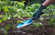 How to Fertilize the Soil in the Fall to Make It More Fertile