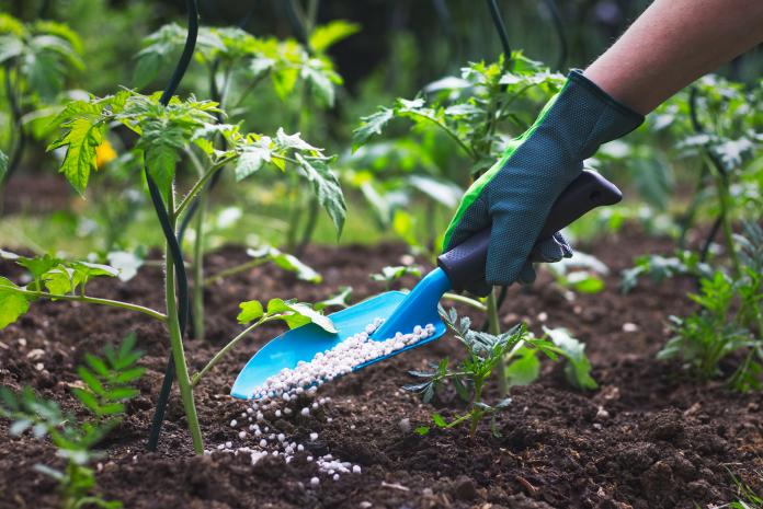 How to Fertilize the Soil in the Fall to Make It More Fertile