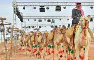 International Camel Conference Kicks off in Riyadh