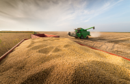 Soybean Harvest Has Started in Ukraine