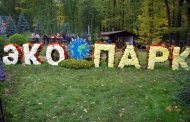 Colorful “Ball” of Chrysanthemums Started in Eco-park Near Kharkiv