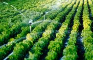 The Ministry of Agrarian Policy Proposes to Triple the Cost of Water for Irrigation