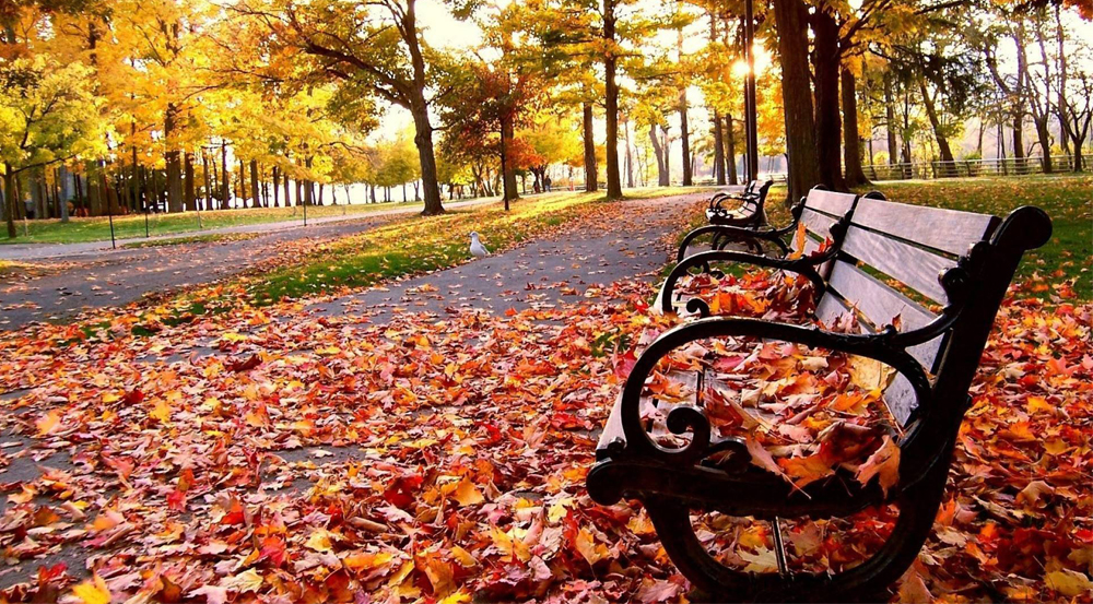 The Weather on the First Day of October in Ukraine