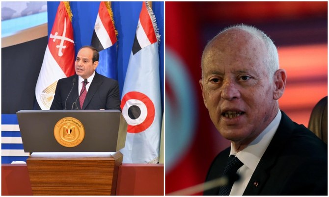 Tunisia and Egypt Agree on Libya’s Recovery Strategy